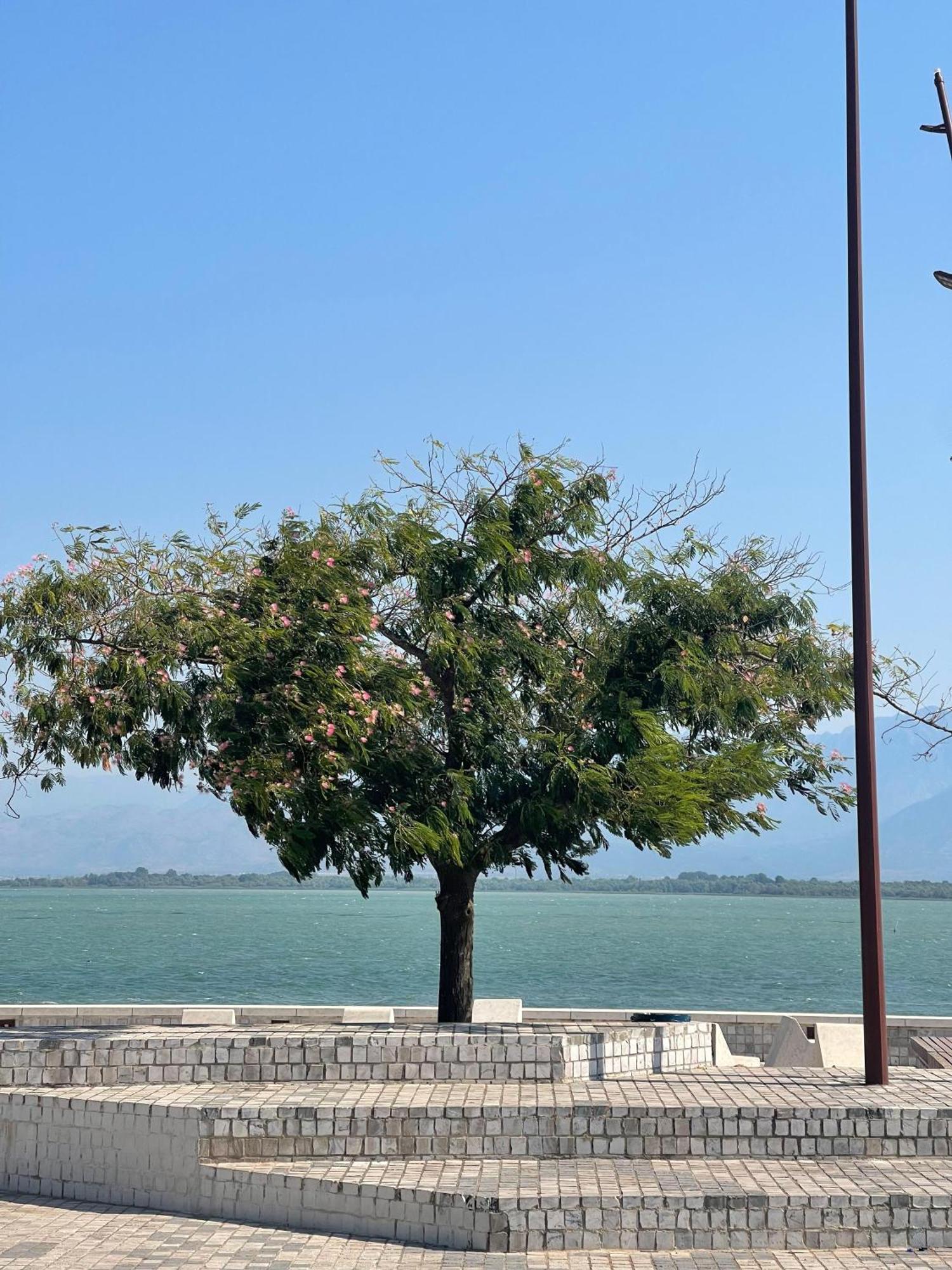Široka Hotel Riti المظهر الخارجي الصورة